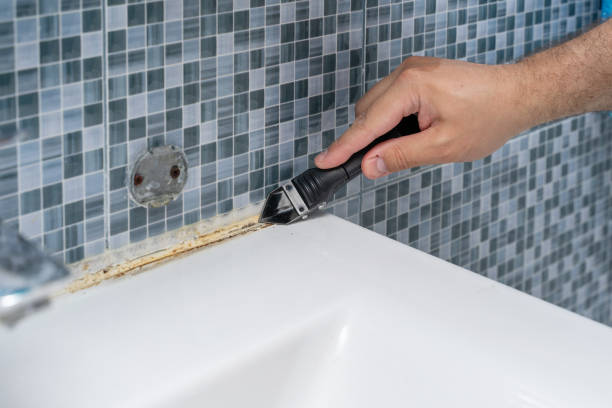 Best DIY Mold Remediation Support Services in Minier, IL